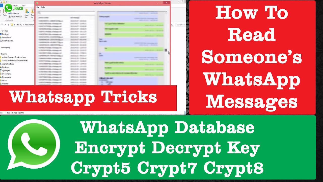 Ключ шифрования и расшифровки базы данных WhatsApp для WhatsApp Viewer | Хитрости и настройки Wha...