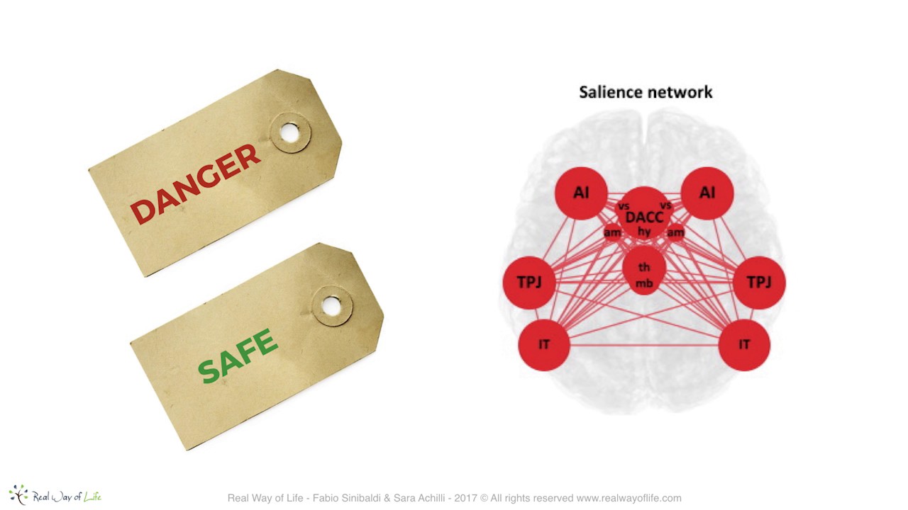 Brain networks #2: re-interpreting anxiety through the functional networks