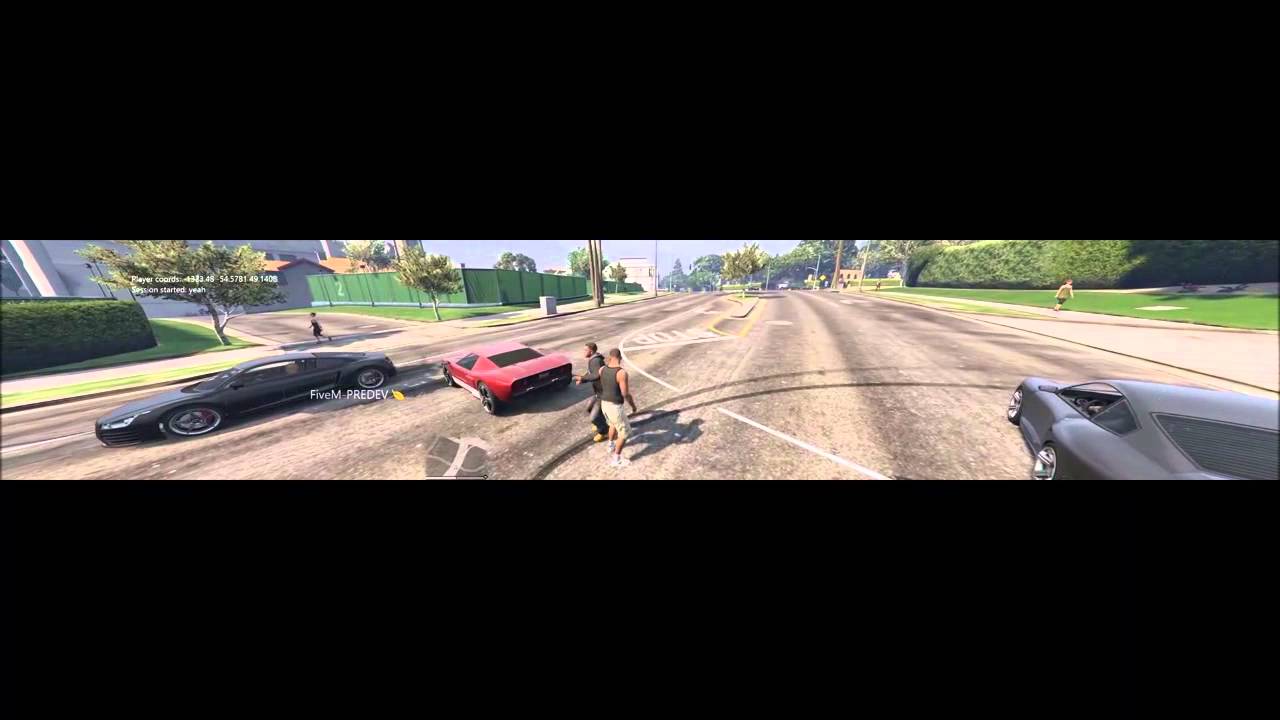 FiveM GTA V Multiplayer Mod private predev test