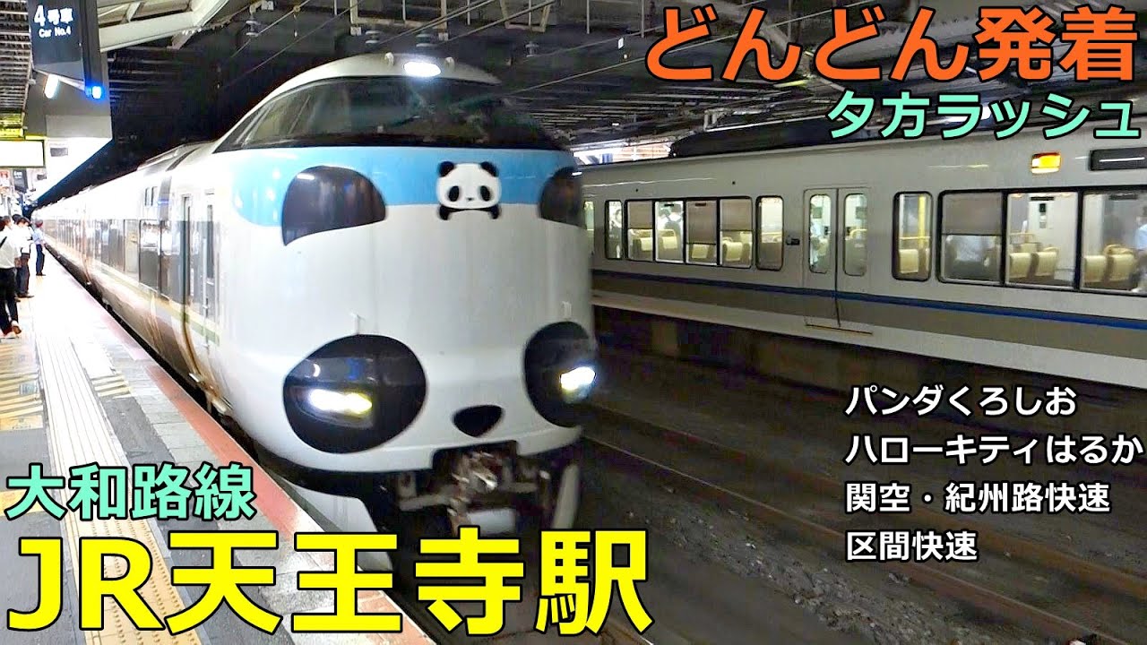 JR天王寺駅 (大和路線) 2🚃どんどん電車が発着！●くろしお、はるか、区間快速、関空・紀州路快速 等／夕方ラッシュ【JR西日本】