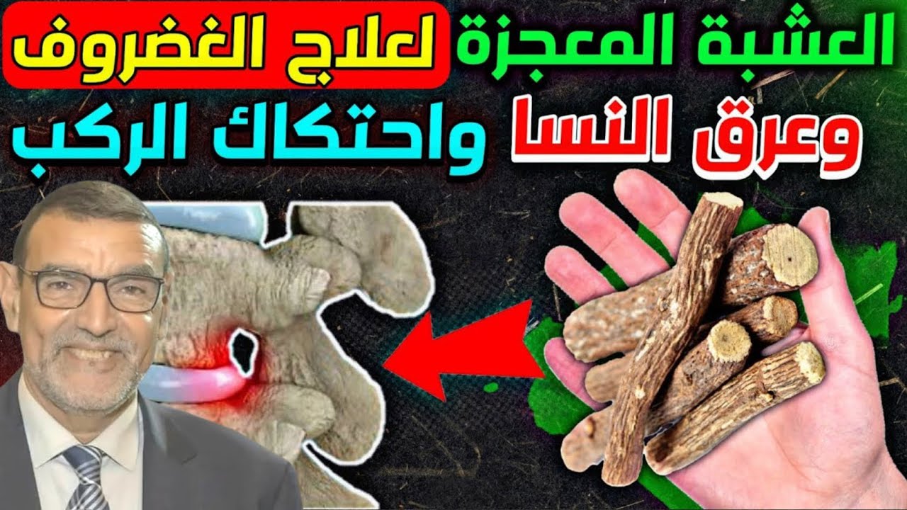 الدكتور الفايد العشبة المعجزة لعلاج الغضروف وعرق النسا واحتكاك الركبة