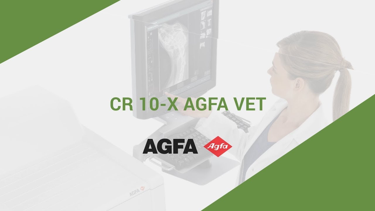 CR 10-X  AGFA VET Radiograf&iacute;a Computarizada