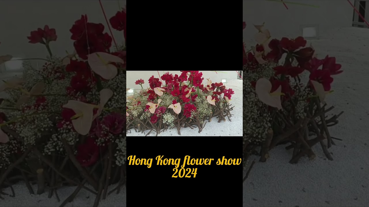 Hong Kong flower Show 2024