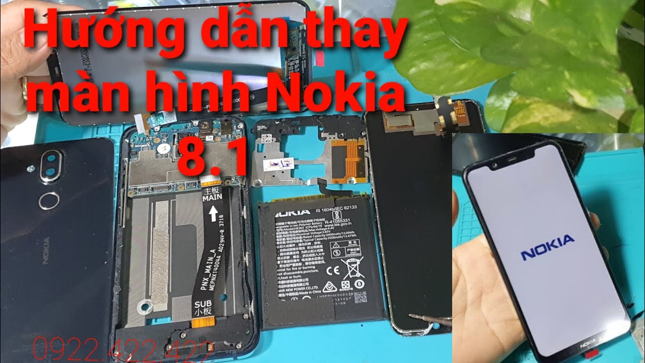 Hướng dẫn Thay màn hình Nokia 8.1