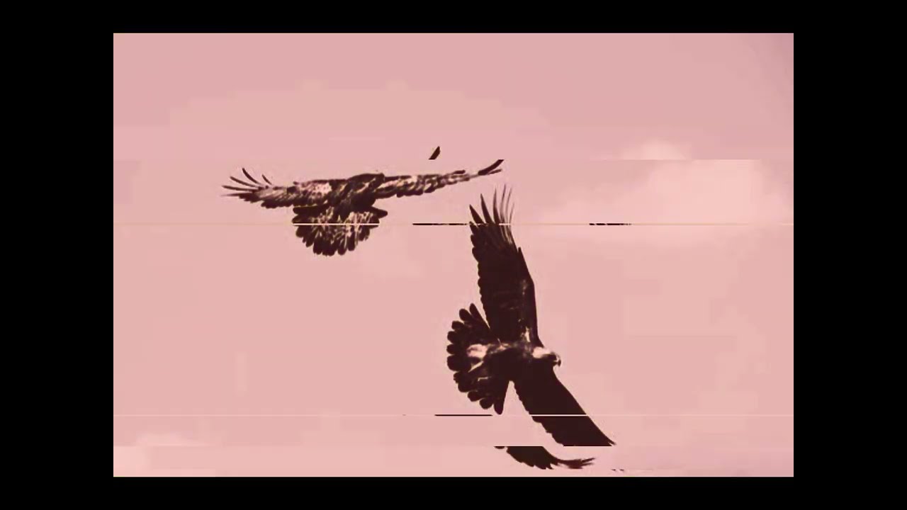 Two Eagles