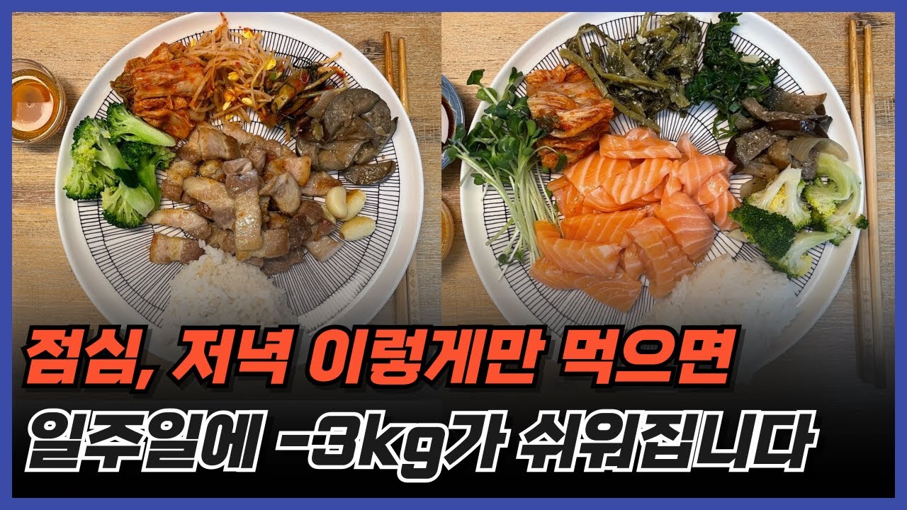식단부터 습관까지 2025 저탄건지 총정리