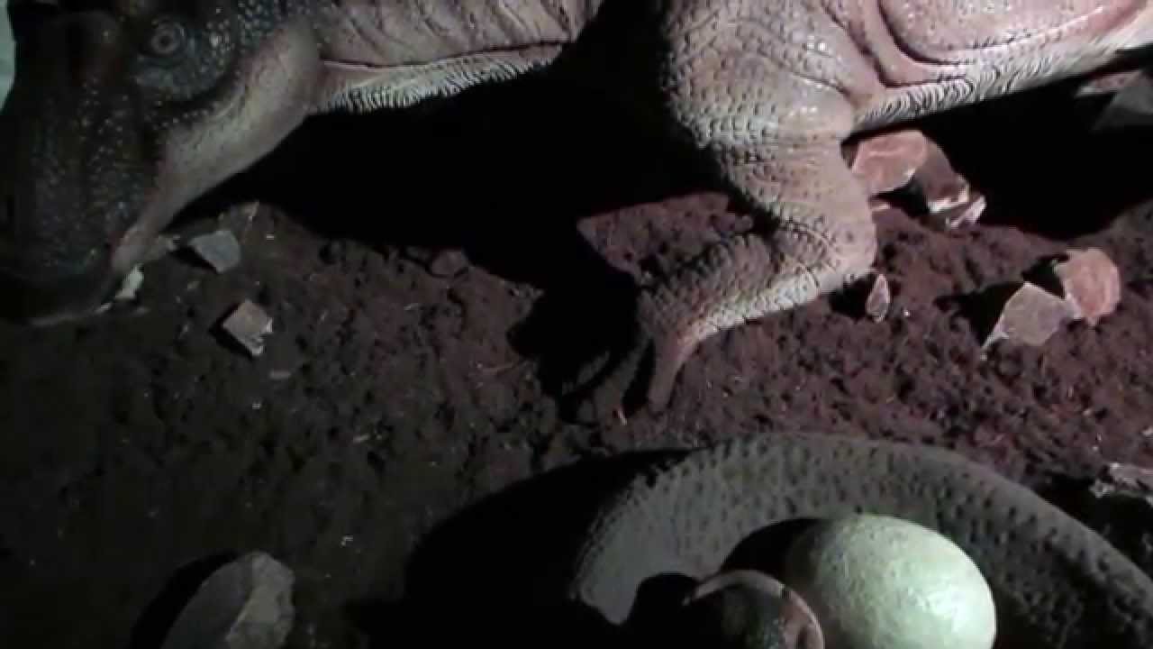 DinoPark Liberec Czechy