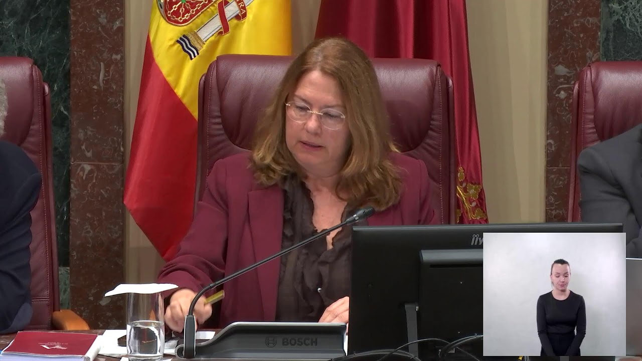 20260218 SESI&Oacute;N PLENARIA