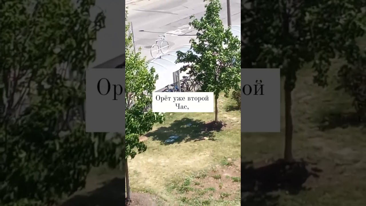 Mental health crisis in Canada