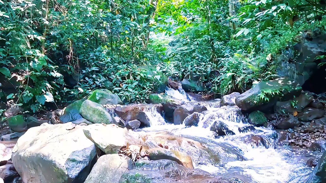 Mountain River Flow for Inner Peace