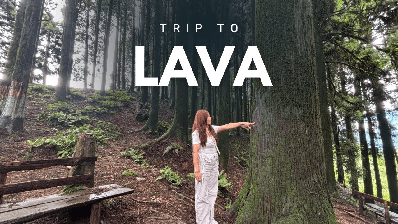 Escaping the Noise: A Peaceful Day in Lava (Kalimpong to Lava Vlog) 🚗✨