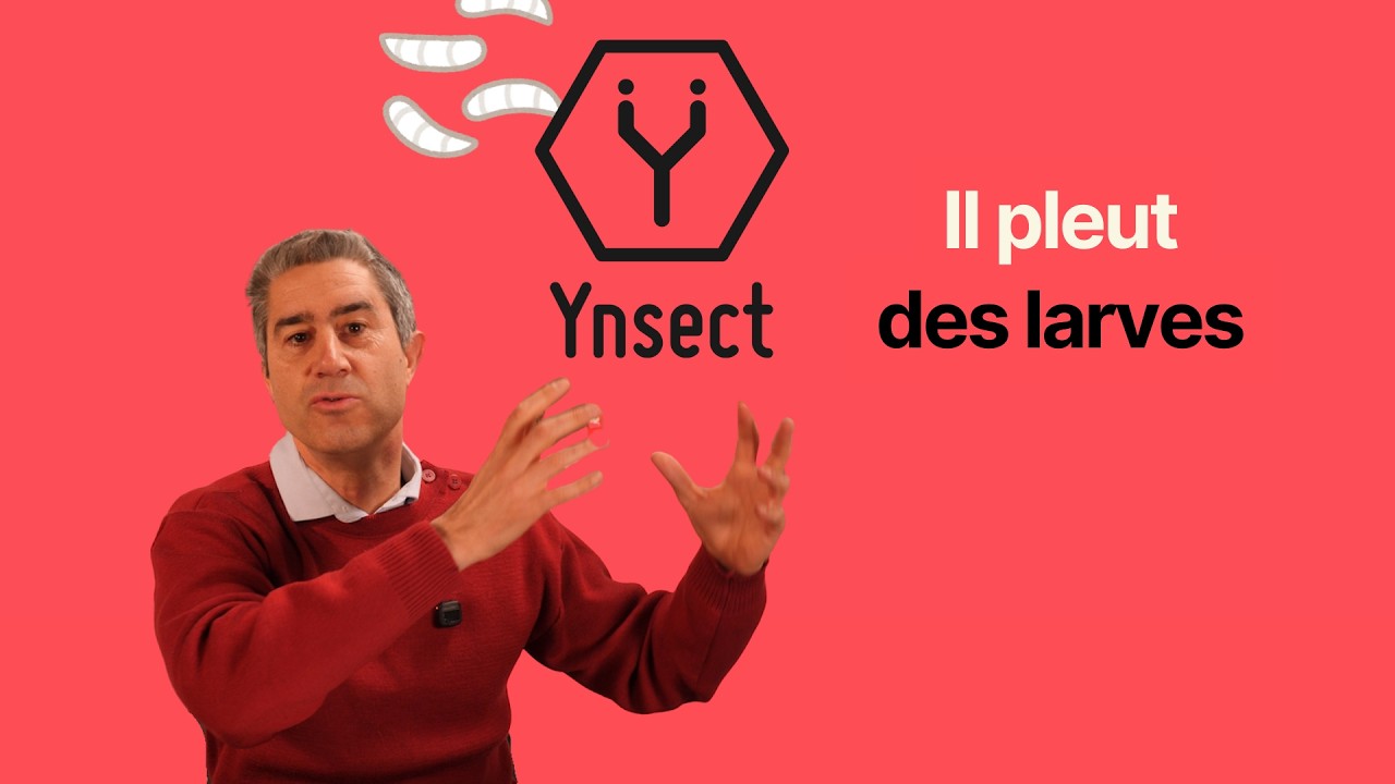 Il pleut des larves