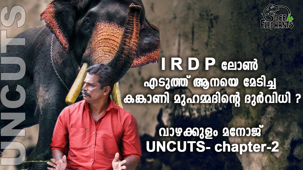 അവരുടെ എല്ലാ സ്വാതന്ത്ര്യവും നമ്മൾ ഹനിക്കുകയാണ്...! ആനയുടെ അമ്മയാണ് ഒന്നാം പാപ്പാൻ.  അച്ഛനാണ് ഉടമ..!