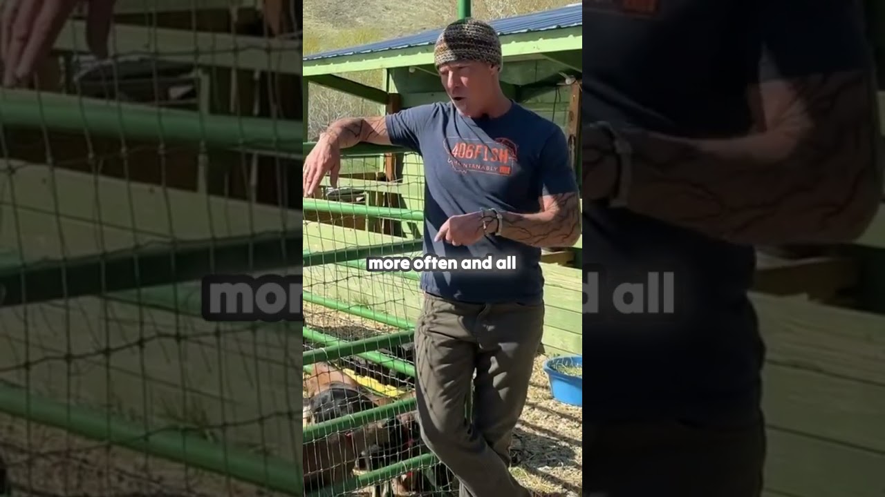 Feeding baby goats? Get it right from day one! 🍼🐐