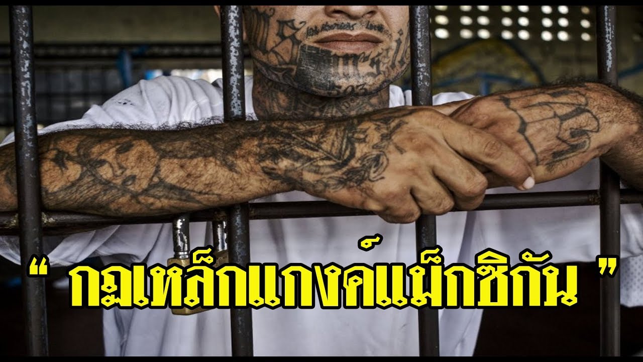 8..กฎเหล็กแก๊งค์แม็กซิกัน...ที่สมาชิกห้ามฝ่าฝืนอย่างเด็ดขาด#ตามไปมอง