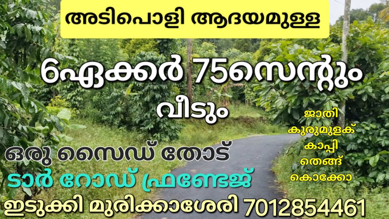 അടിപൊളി ആദയമുള്ള 6ഏക്കർ 75സെന്റും വീടും. ടാർ ഫ്രണ്ടേജ്. ഒരു സൈഡ് തോട്. ജാതി കുരുമുളക് കാപ്പി ഏലം 👇👇👇