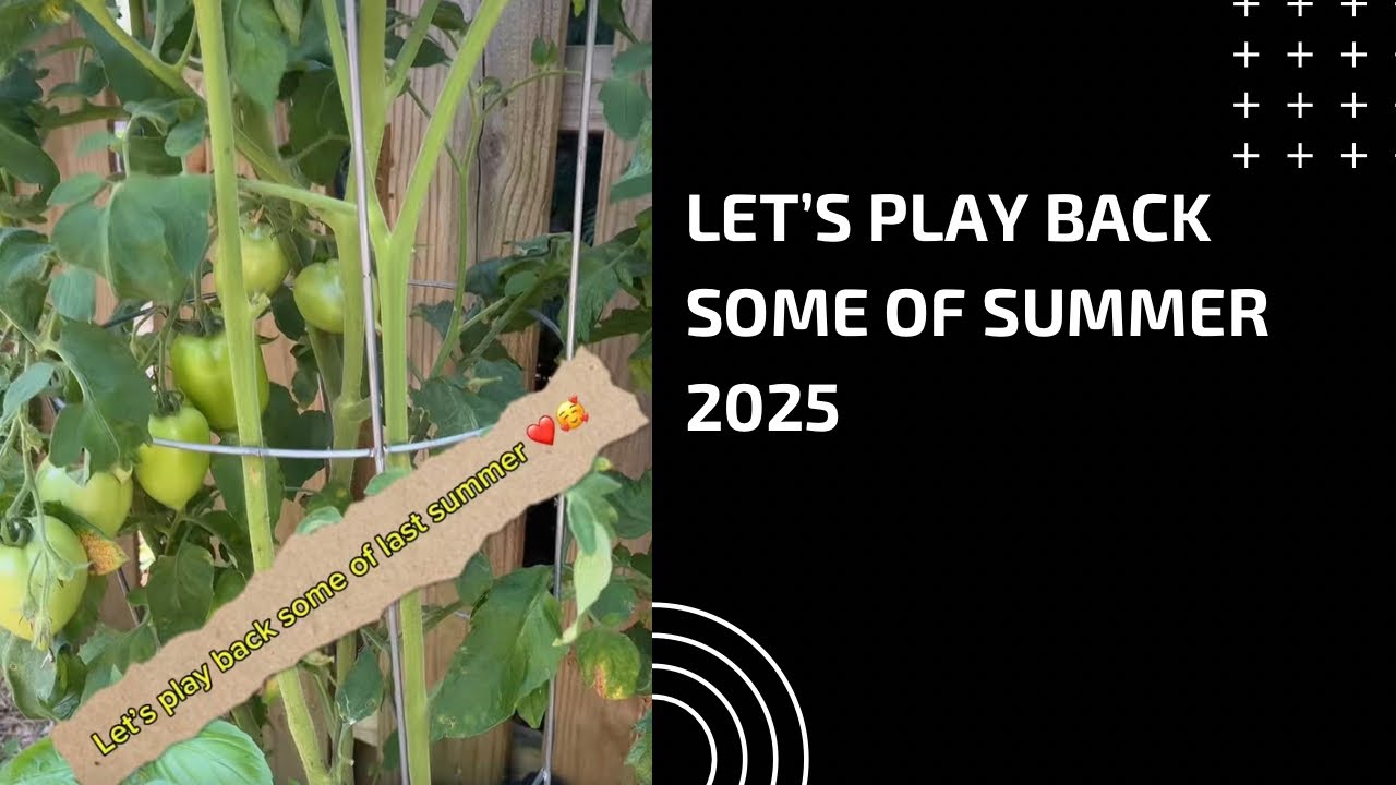 Let’s play back some of summer 2025. 