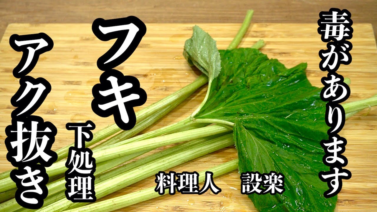 【プロ直伝】 注意！毒があるのでアク抜きをして下さい！【ふき下処理】のやり方　フキはこうやってアク抜きをします