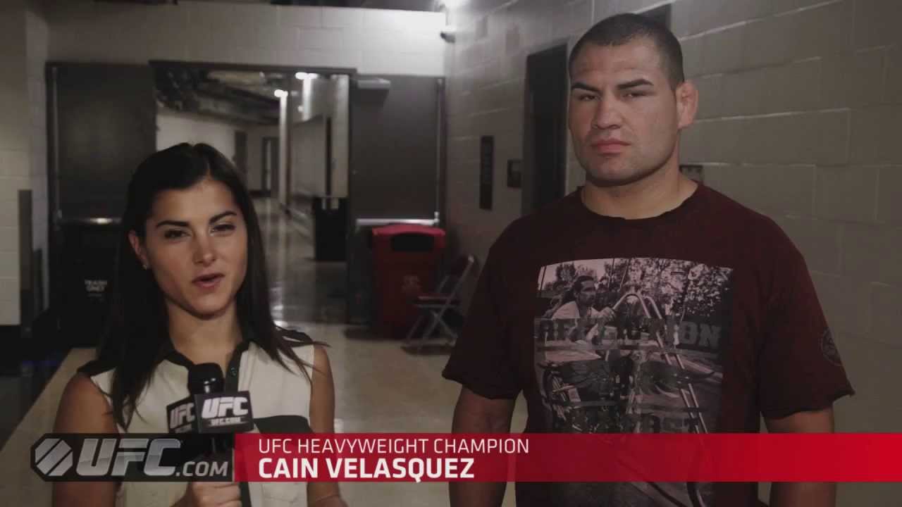 UFC World Tour 2013 - Houston Highlights
