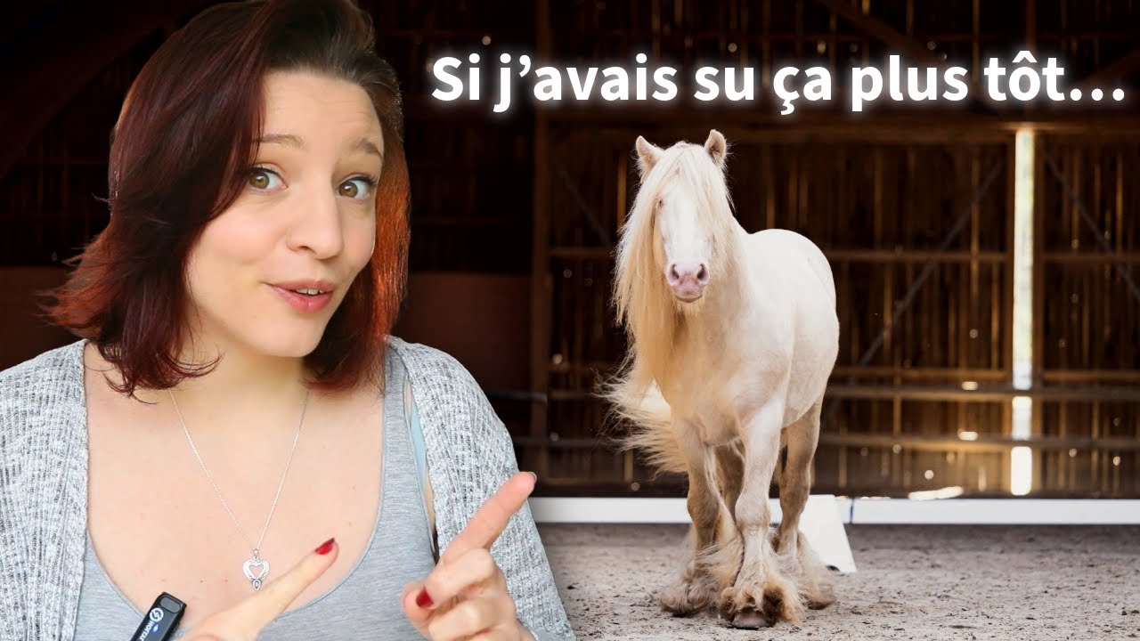 Ce que j&rsquo;aurais aim&eacute; savoir en commen&ccedil;ant la photo animali&egrave;re