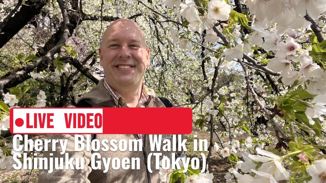 Japan's Sakura Paradise: Cherry Blossom Walk in Tokyo's Shinjuku Gyoen! - LIVE JAPAN
