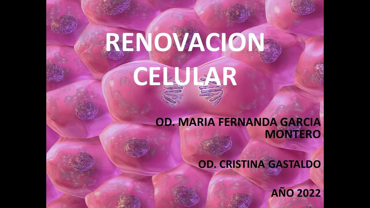 Renovación Celular. Cátedra de Histología y Embriología- FOR-UNR