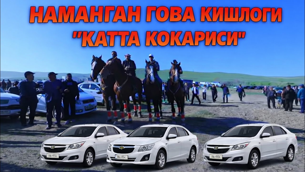 #Наманган  Гова кишлоги катта коккариси 01 13 2026