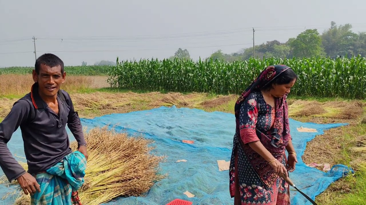 সাপ দেখে ভয় পেয়ে লায়লার ভীষণ চিৎকার! গ্রামের  মাঠে এক চমকে দেওয়া মুহূর্ত