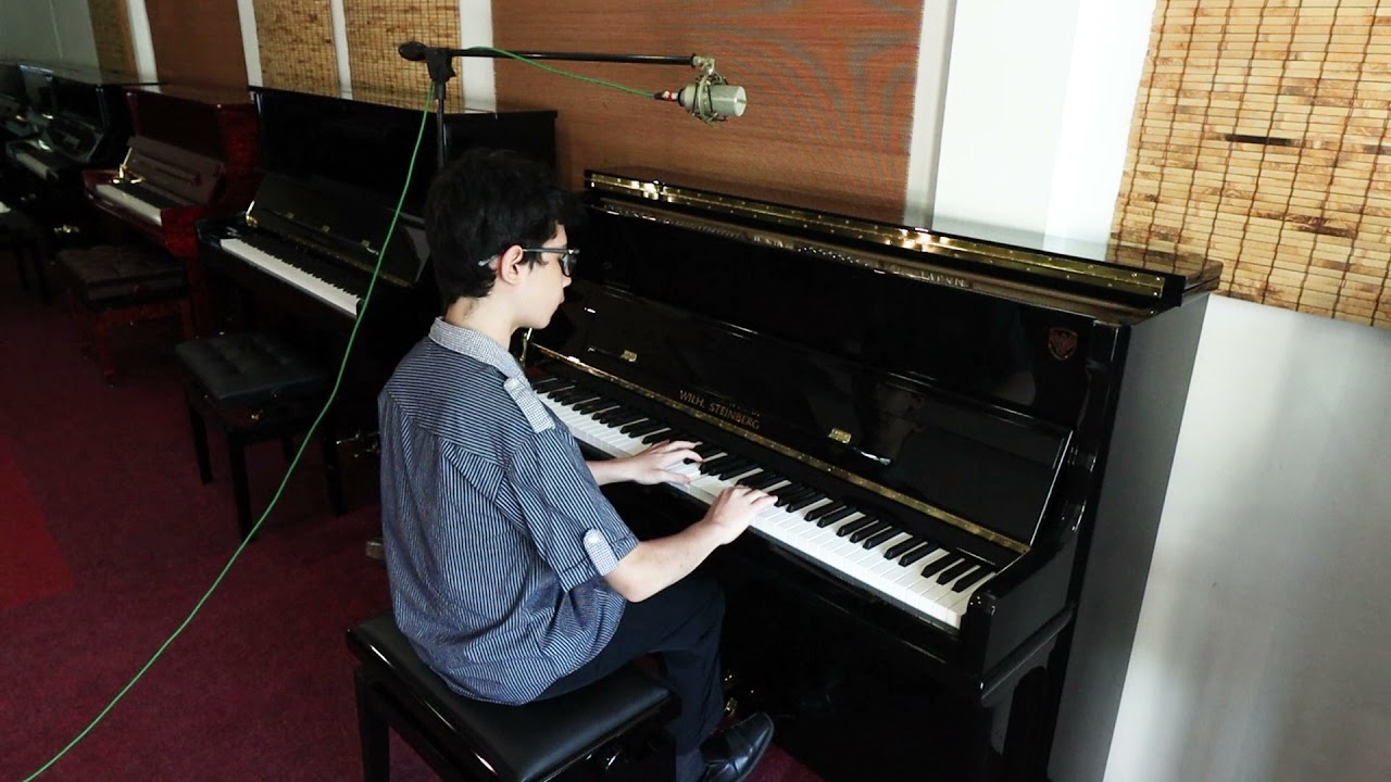 Wilh Steinberg AT-K18 upright