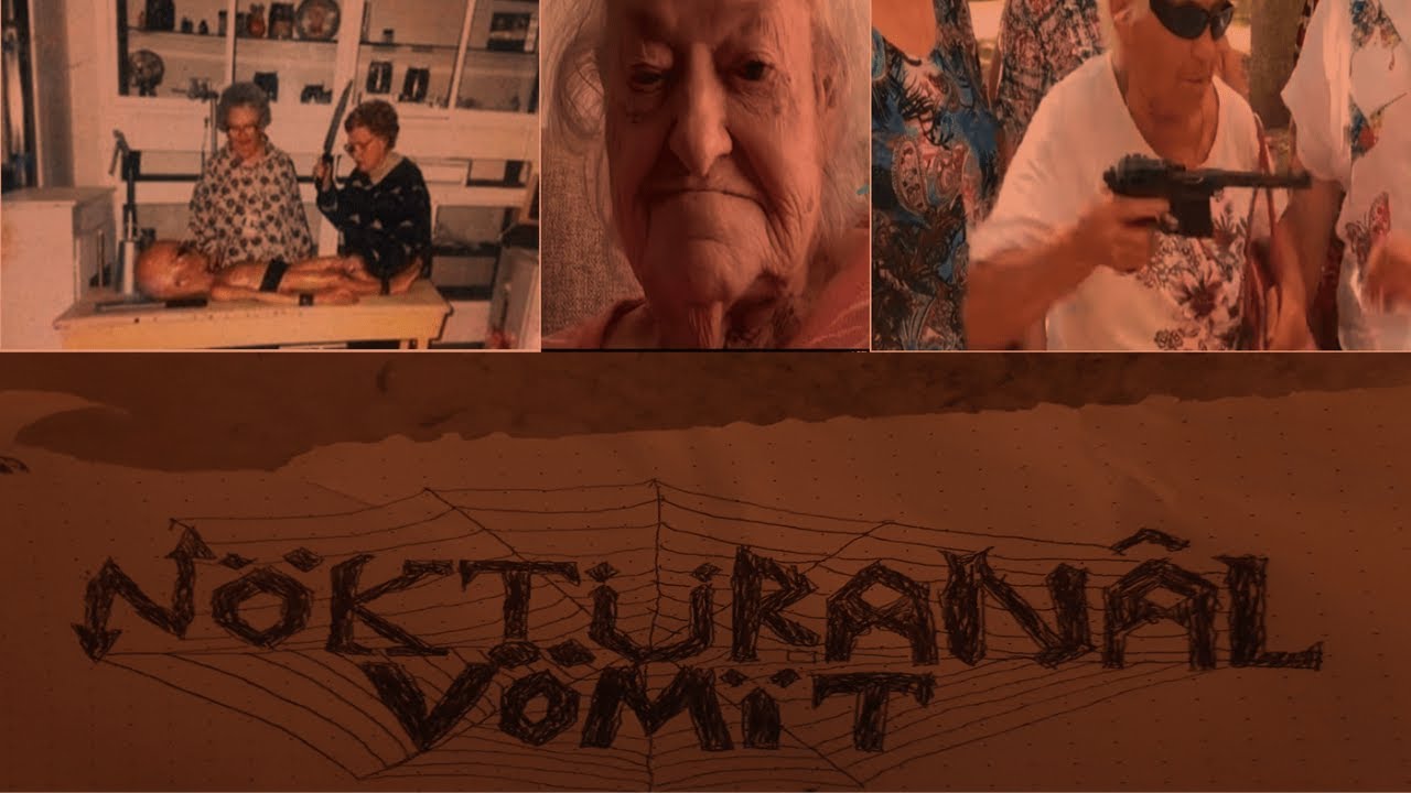 N&ouml;kt&uuml;ran&acirc;l V&ouml;m&iuml;t - Void EP [2024 Raw Punk Grind]
