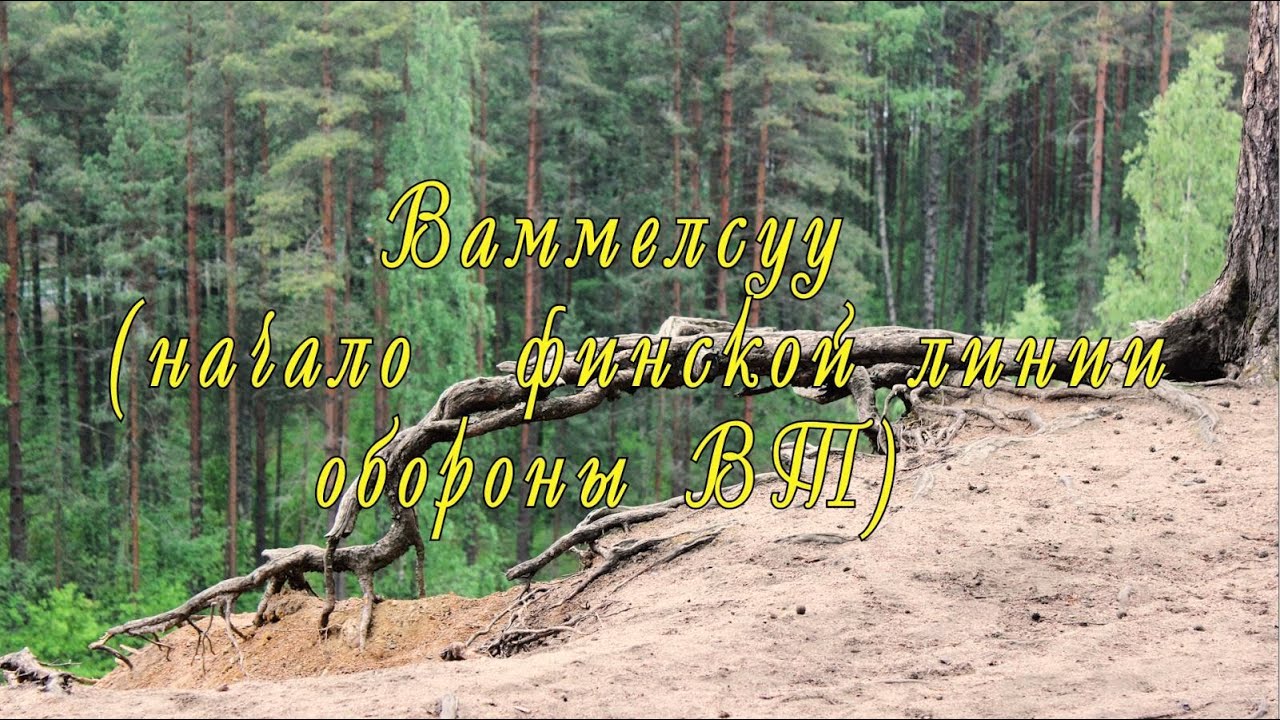 Ваммельсуу (начало финской линии обороны ВТ)