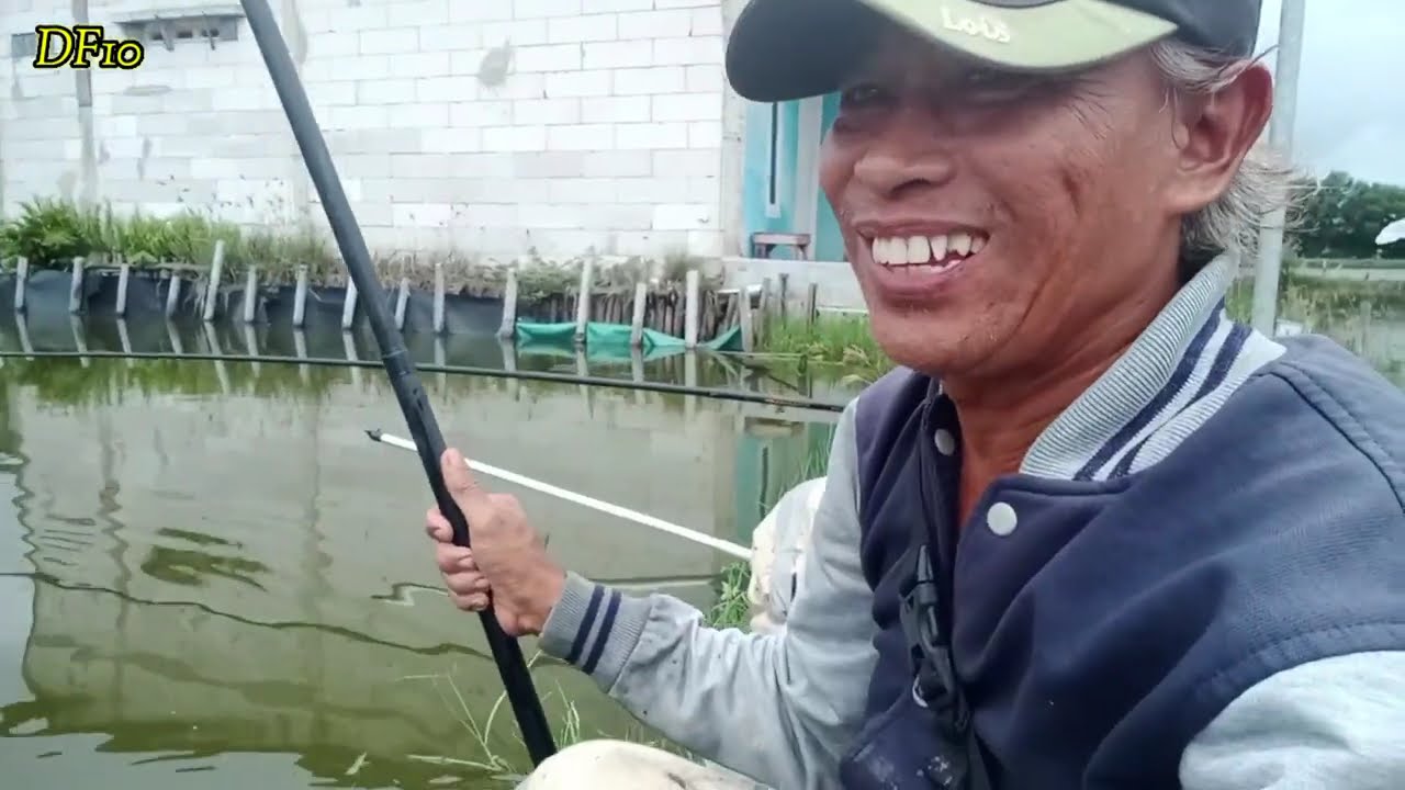 lEdan empang sekecil ini ikannya banyak banget 