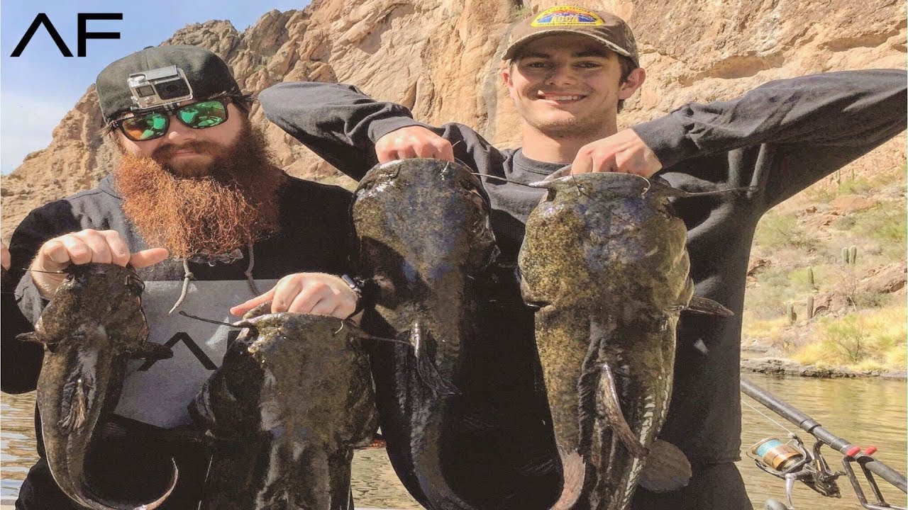 EPIC FLATHEAD CATFISH FISHING TRIP!!! ARIZONA FISHING