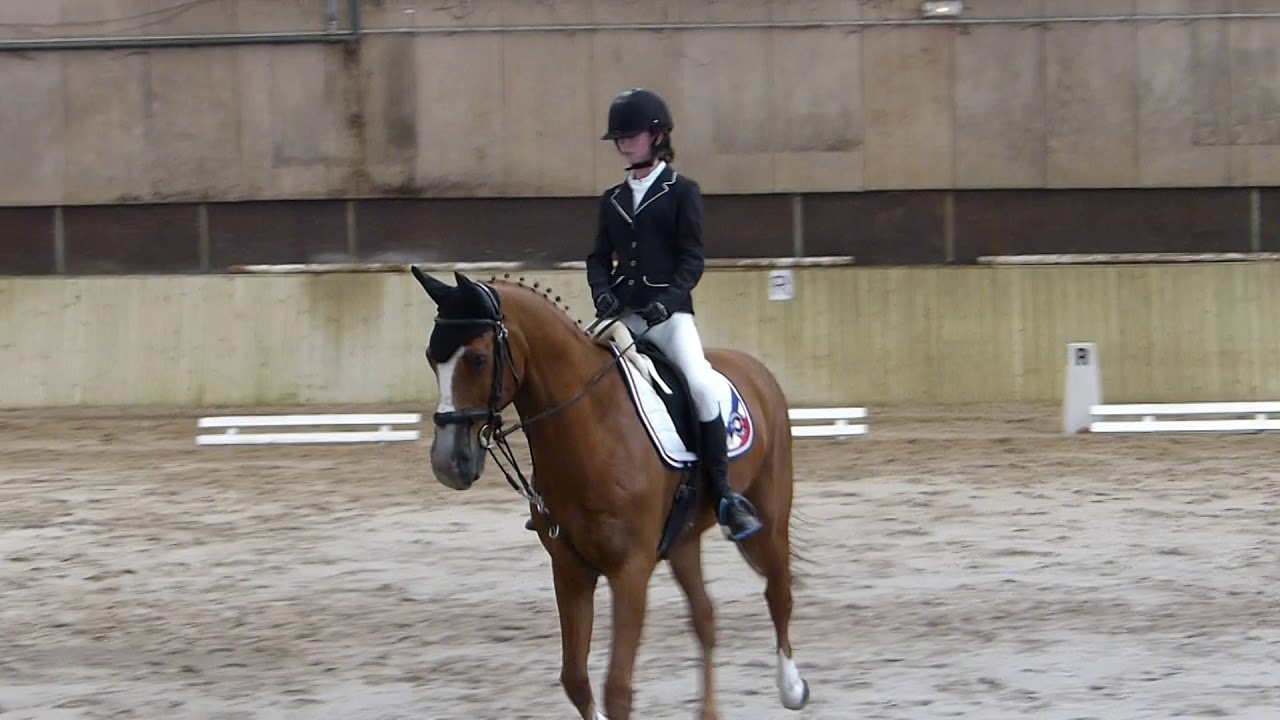 Concours Olivet 1 ere place dressage club 3 grand prix