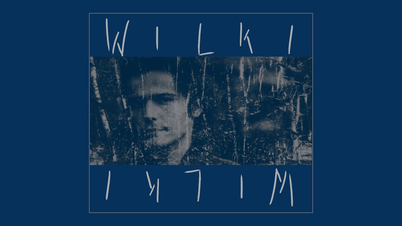 Wilki - Cień w dolinie mgieł (Acoustic for BRUM) (Official Audio)