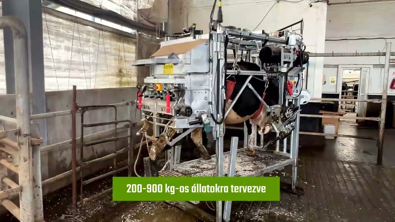 KVK körmölőkaloda a Gravettitől