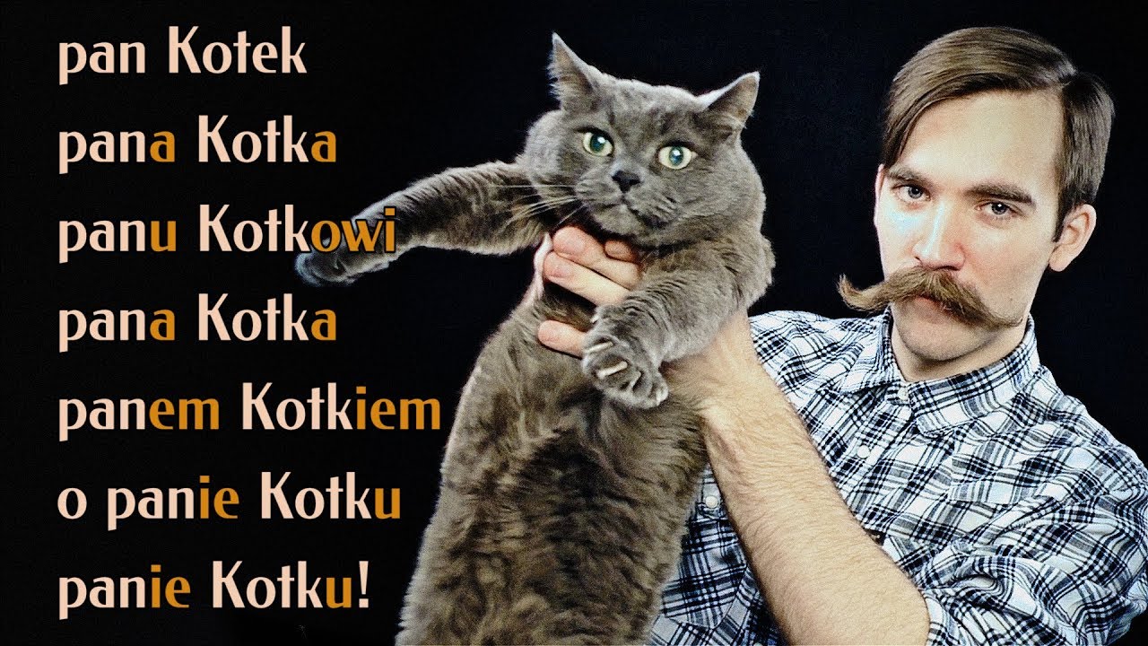 Польский язык. Урок 5. Глаголы II спр., существительные I скл.
