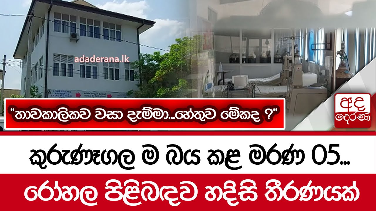කුරුණෑගල රෝහලේ රුධිර කාන්දුකරණ ඒකකයේ රෝගීන් 5ක් මරුට...