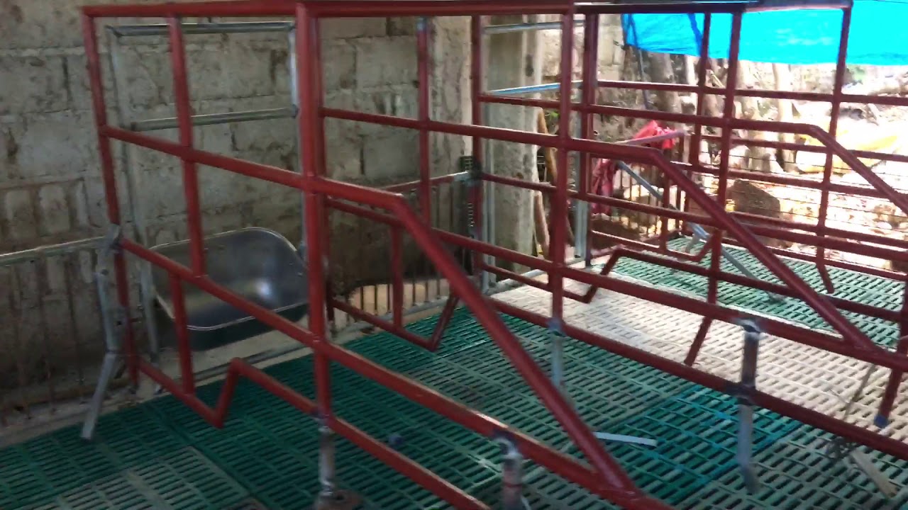 Farrowing pen..budget meal