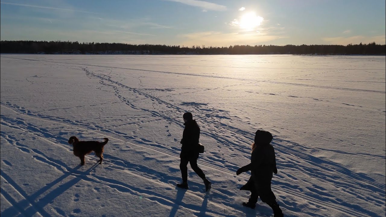 Golden Sunset on a Frozen Lake with Our Irish Setter | Cinematic Winter Walk (4K Drone)