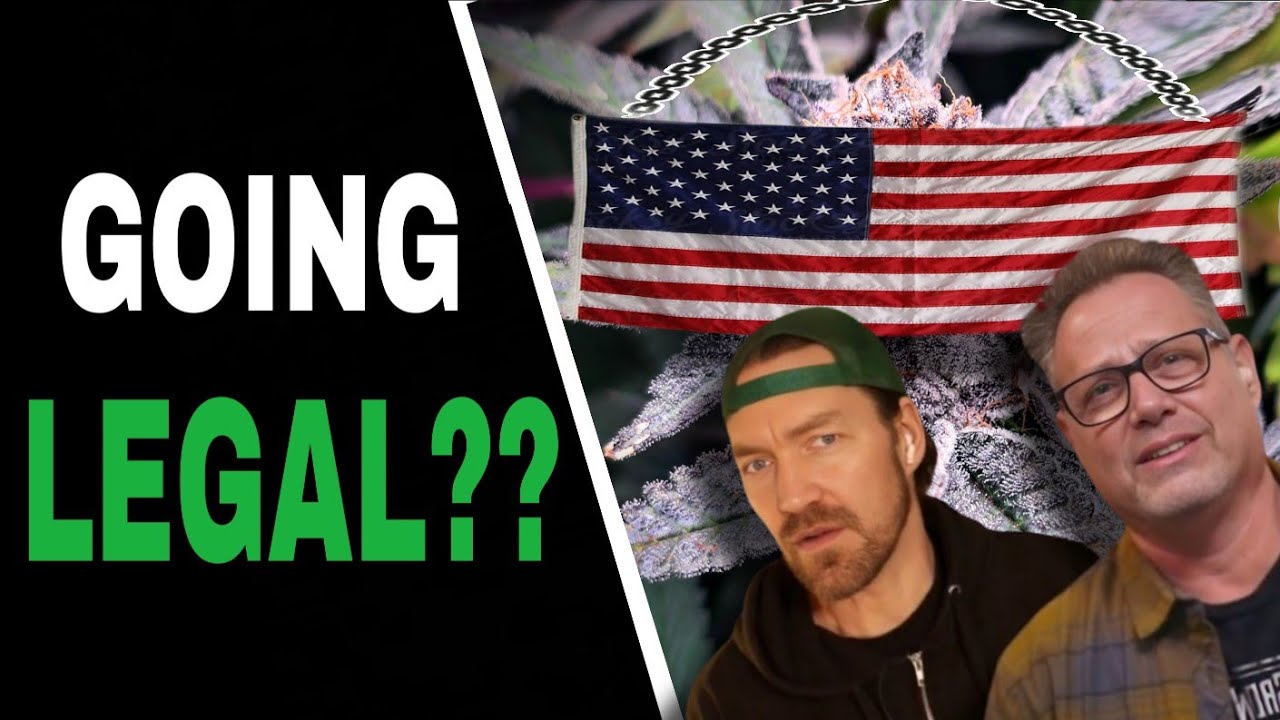 Cannabis Growers are Split on Schedule 3 Reclassification and Here&rsquo;s Why