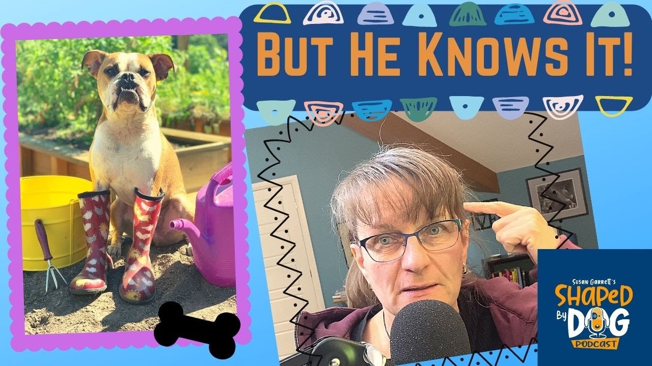 The Secrets of What Your Dog Really Knows #65