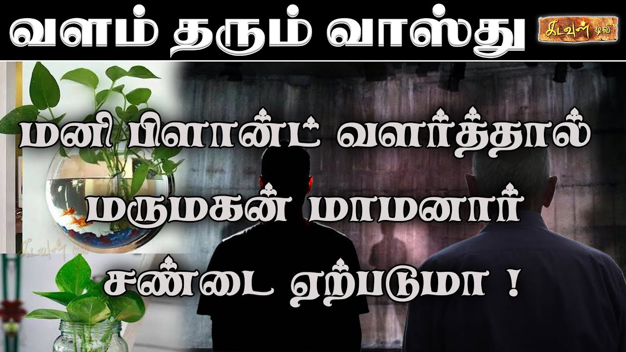 மனி பிளான்ட் வளர்த்தால் மருமகன் மாமனார் சண்டை ஏற்படுமா ! | Vastupalan | Kadavul TV