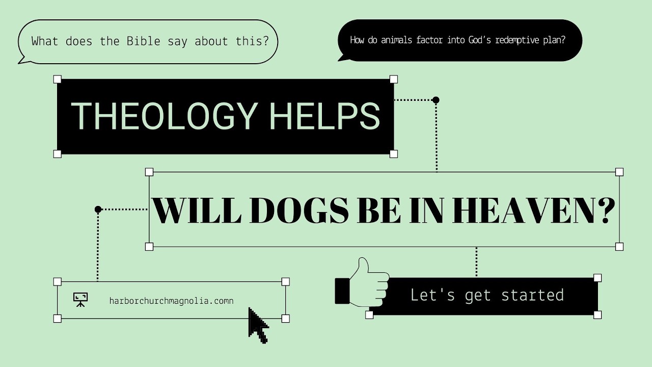 Theology Helps: Will Dogs Be in Heaven?