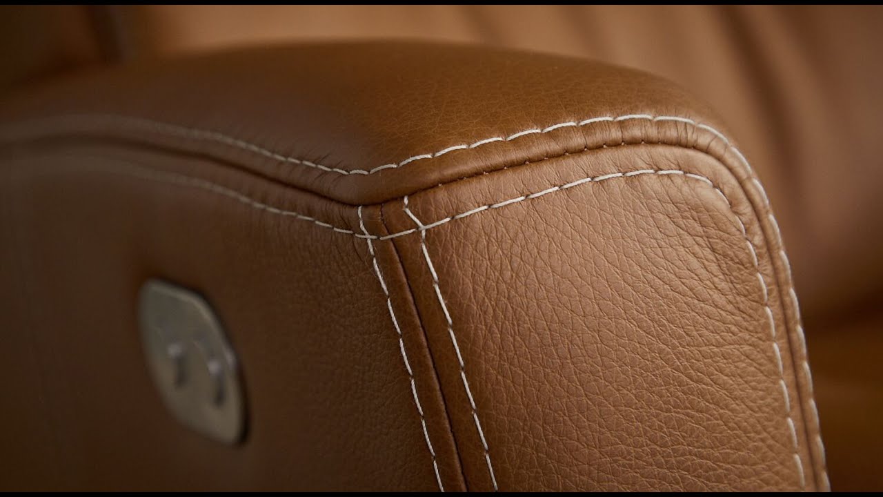 Fjords Leather Training