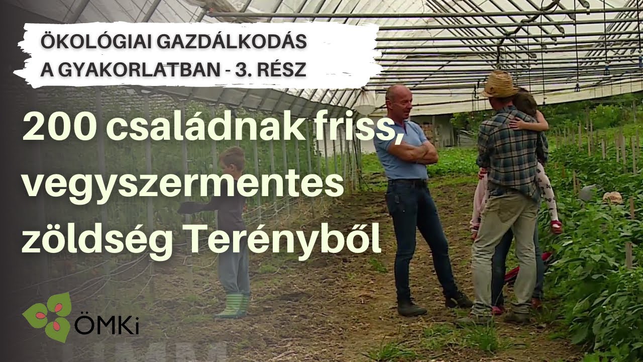 200 családnak friss, vegyszermentes zöldség Terényből - Ökológiai gazdálkodás a gyakorlatban 3. rész