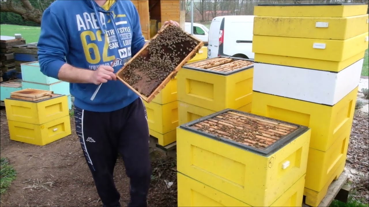 Rozšiřování včelstev mezistěnami - přidávání třetího nástavku 21.4.2022