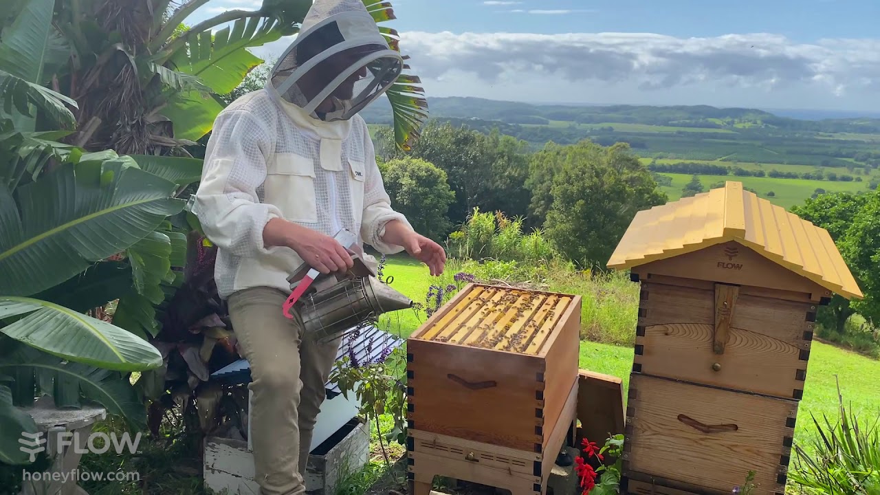How to add your Flow Hive Super 🌻🐝