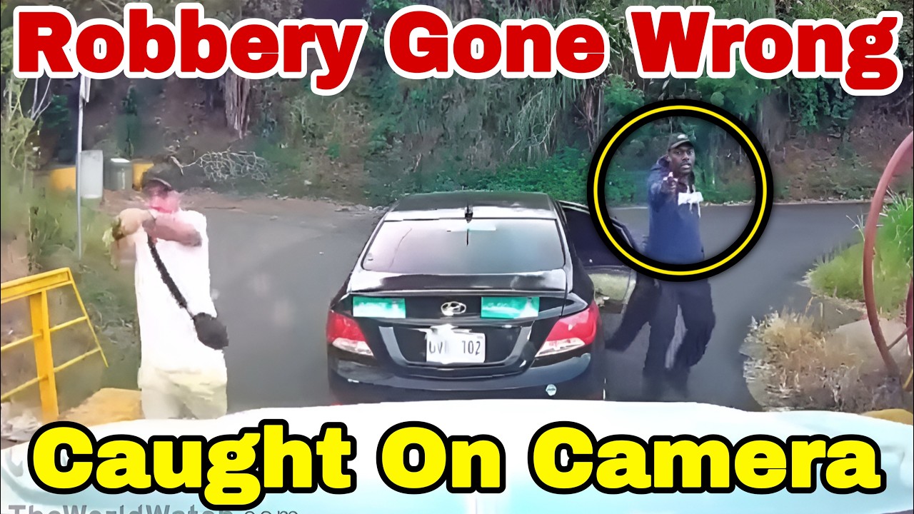 Top 20 Robbery Cases That Ended Unexpected - New Edition 12
