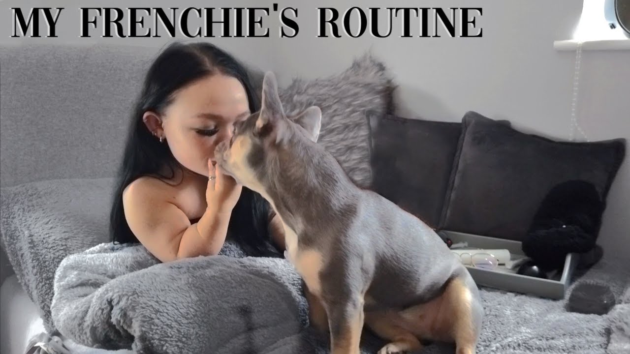 A DAY IN THE LIFE OF MY FRENCHIE